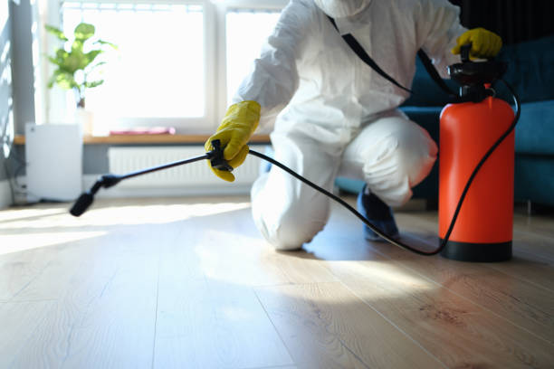 Reliable Odor Removal contractor in Lewiston, NE by Trauma Clean Pros